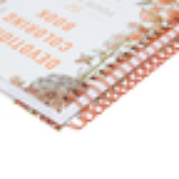 DEVOTIONAL ICOLORING BOOK "SET Your MIND on THINGS ABOVE" BEAUTIFUL ART Gift! - Picture 5 of 10